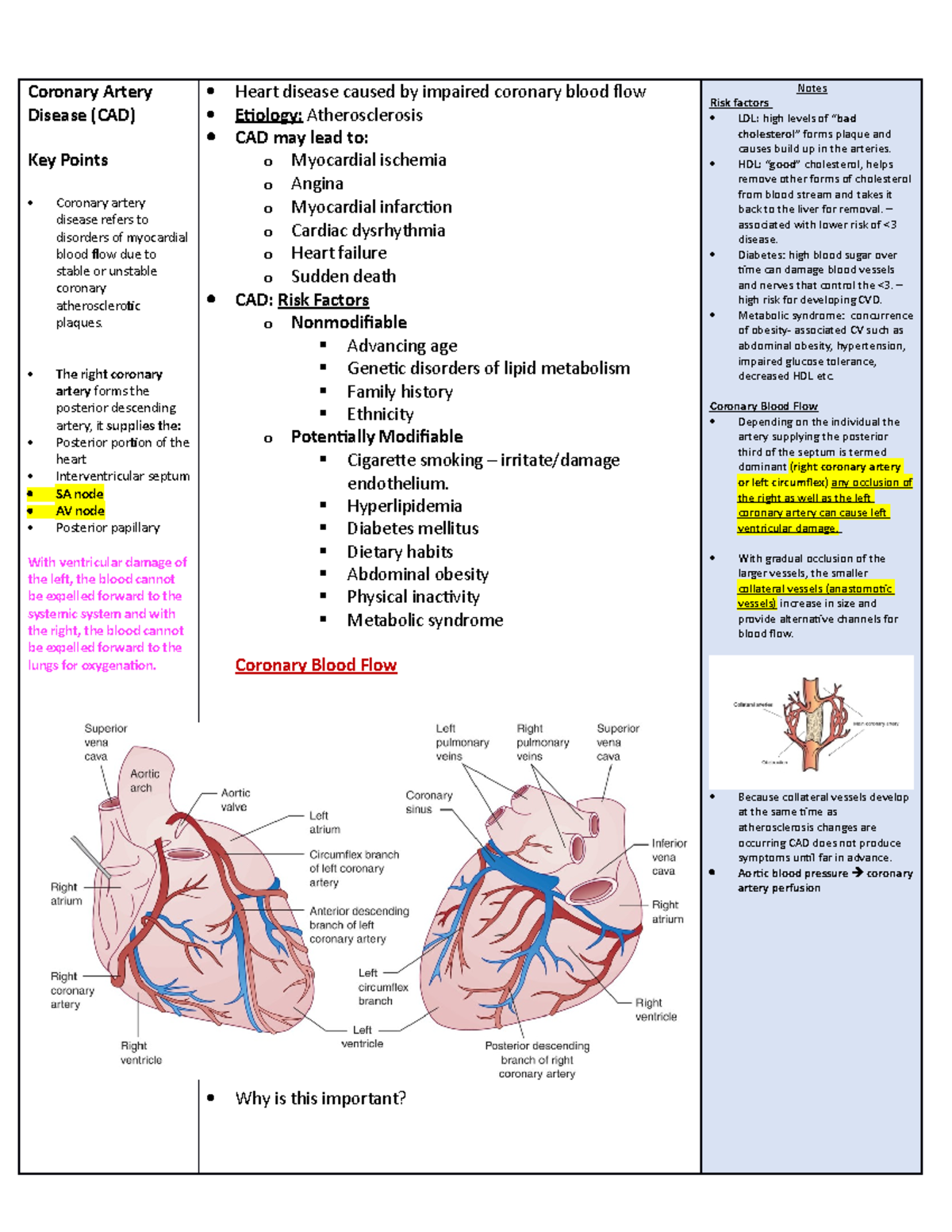 Coronary Artery Disease Pathophysiology Lecture notes - Coronary Artery ...