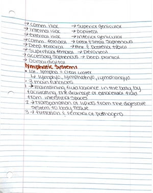 Chapter 6 PSY 420 lecture notes - Piaget’s Theory of cognitive ...