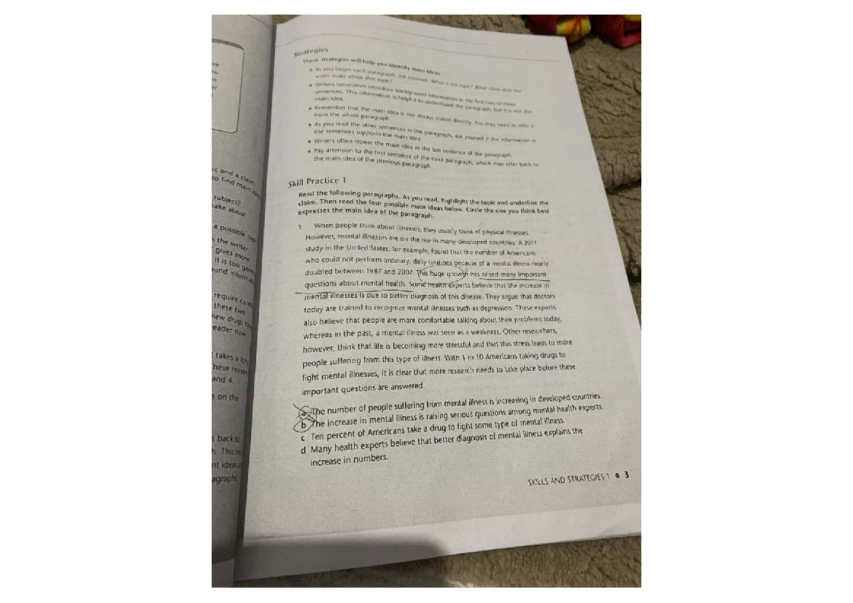 Strategies for Identifying Main Ideas in Reading Comprehension ...
