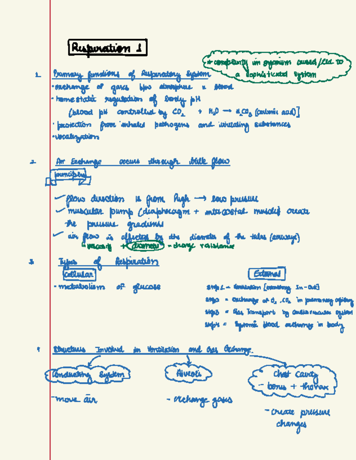 Respiratory System Gas Exchange: 208 Notes - Mod 1 - Studocu