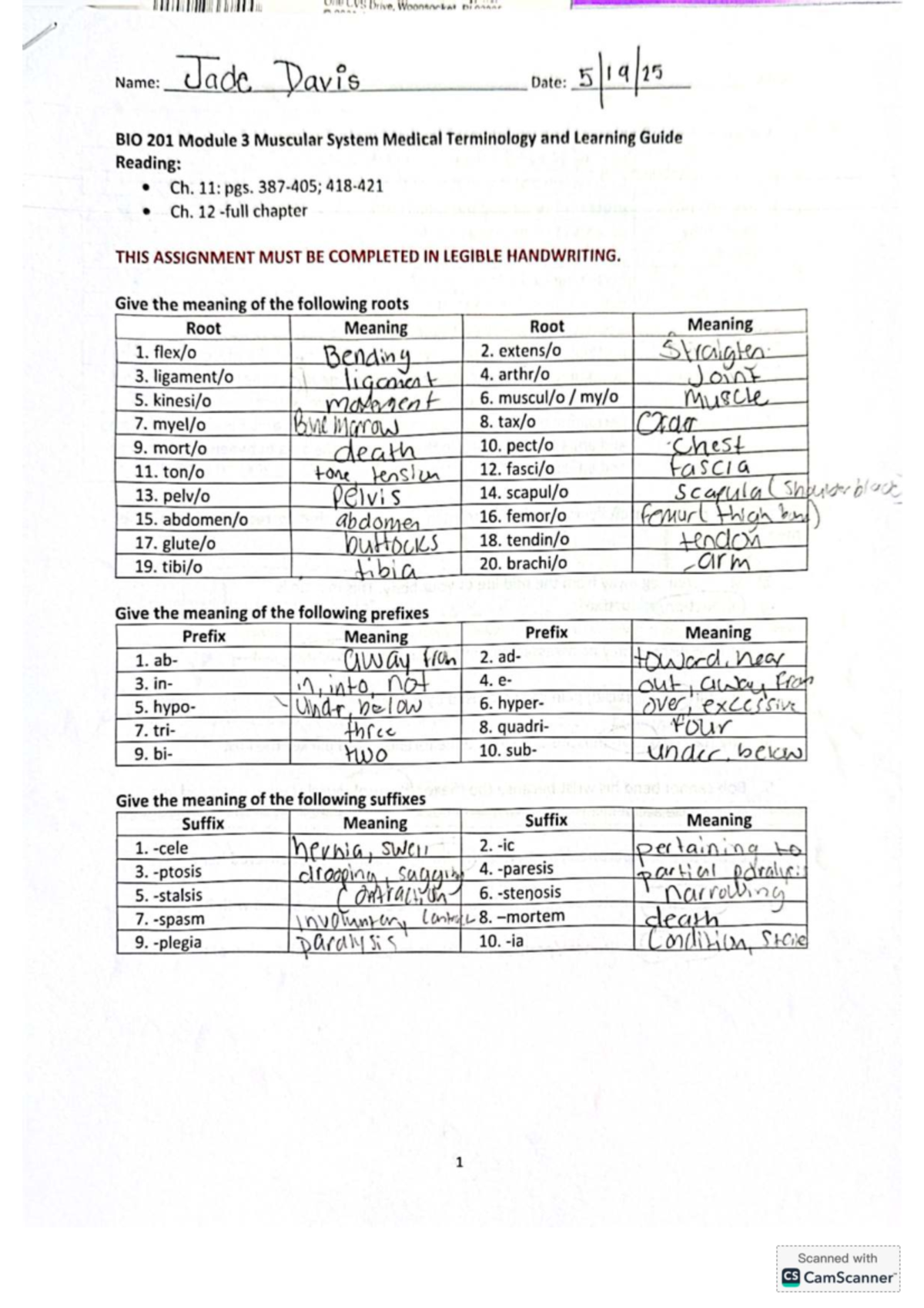 BIO 201 Module 3 Learning Guide: Muscular System Terminology & Concepts ...