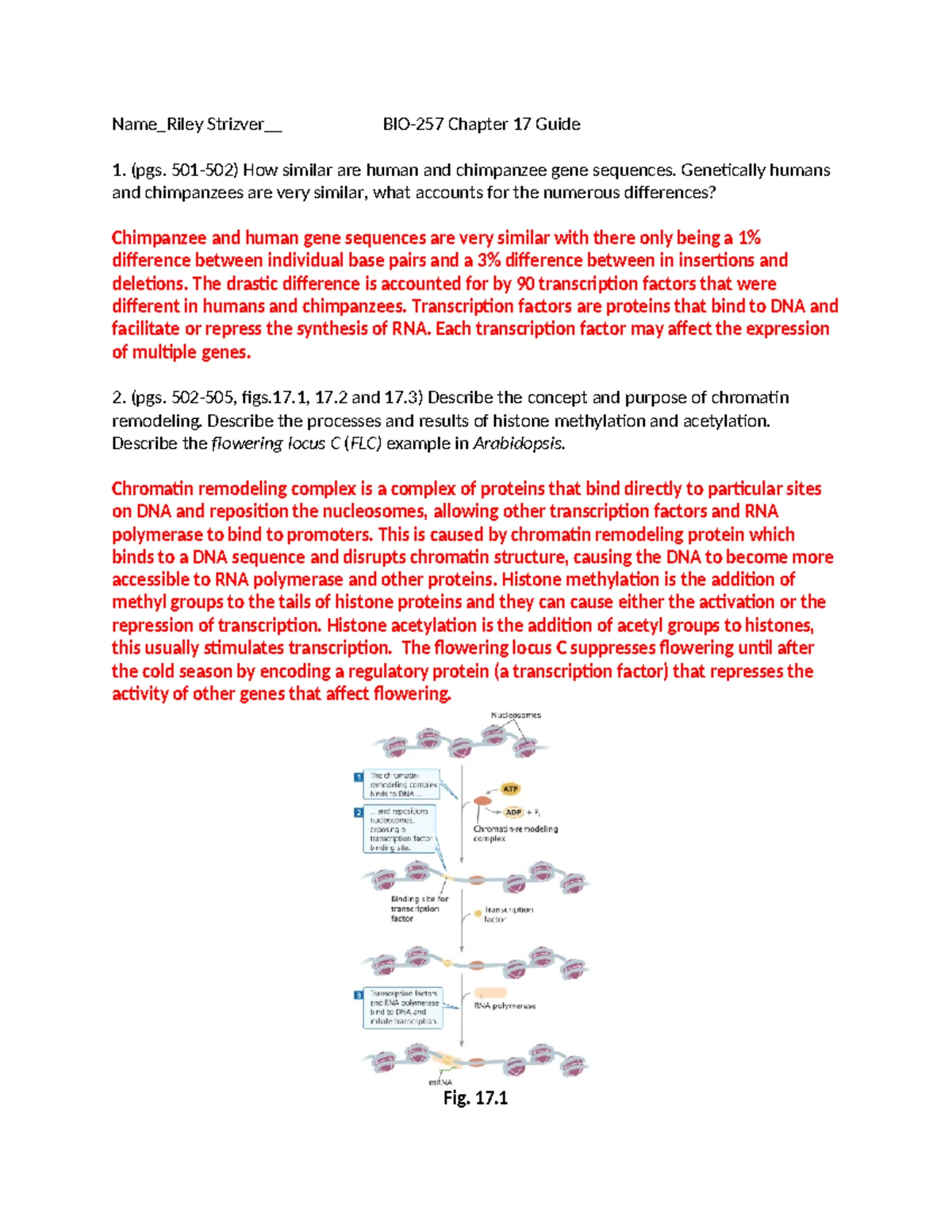 BIO-257 Chapter 3 Genetics Guide: Phenotypes, Mendel, and Crosses - Studocu
