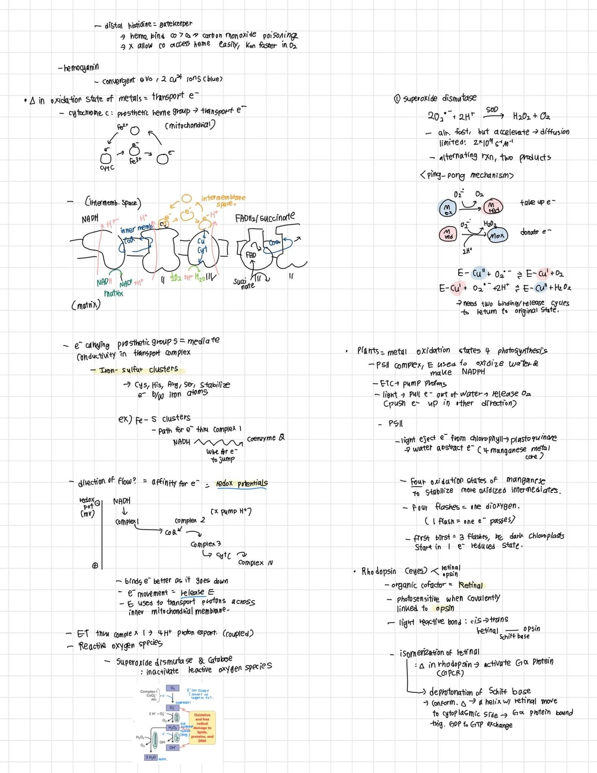 Notes-19 - Notes - Lecture 23 ) Coupled vectorial Processes oxidative ...