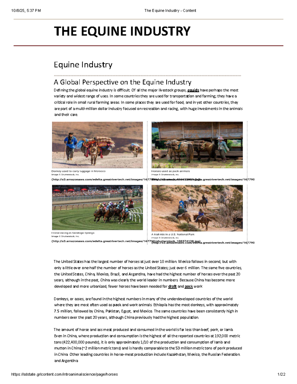 A Comprehensive Overview of the Equine Industry (Course Code: EQI 101 ...