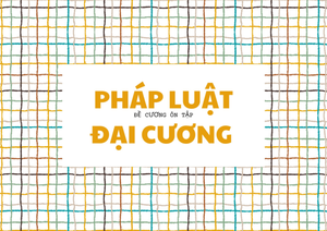[Solved] anh ch hy phn tch khi nim v c im ca trch nhim php l cho v d ...