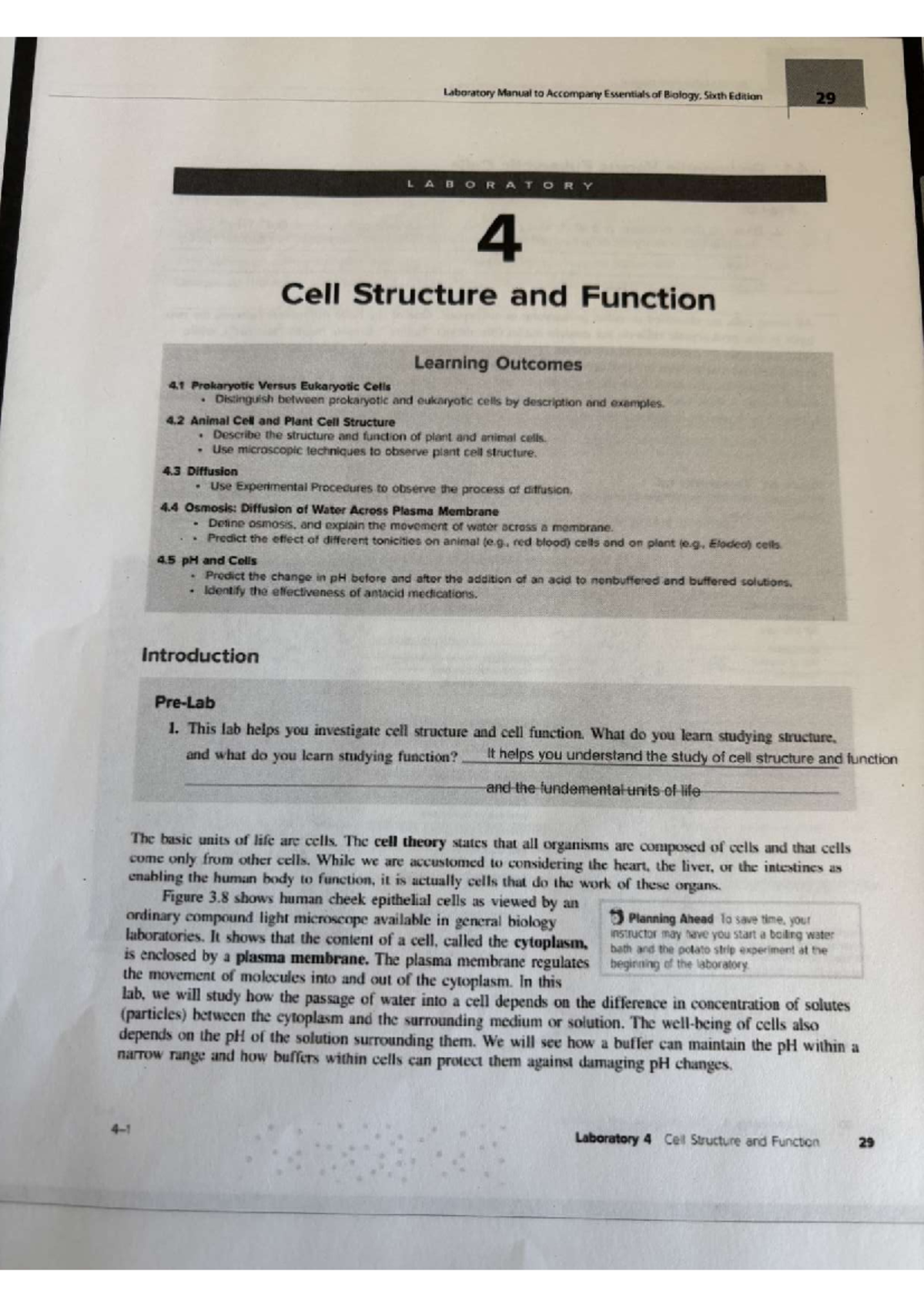 BIO 011 Laboratory Manual: Cell Structure & Function (Lab 4) - Studocu