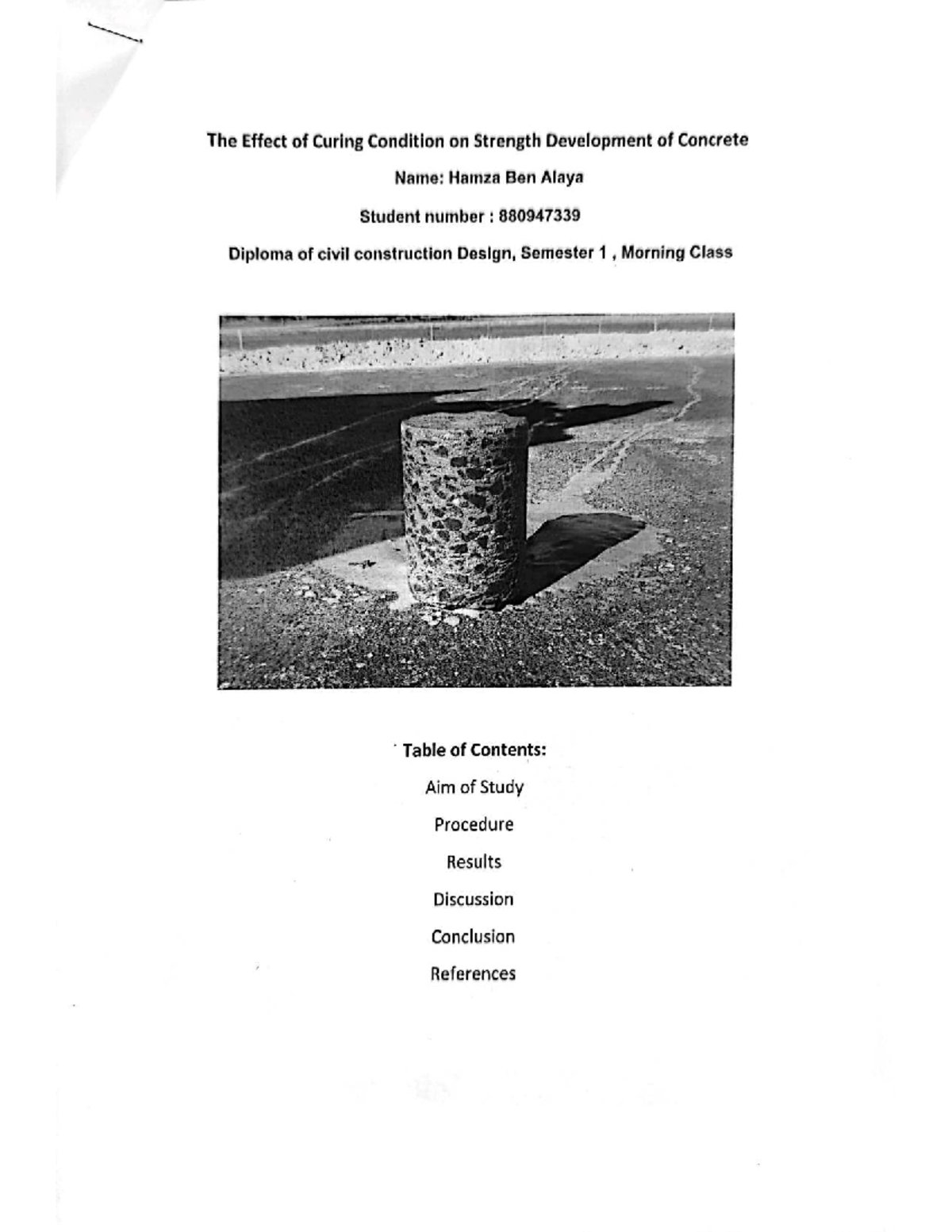 Concrete Curing Report: Effects on Strength Development (CIVIL101 ...