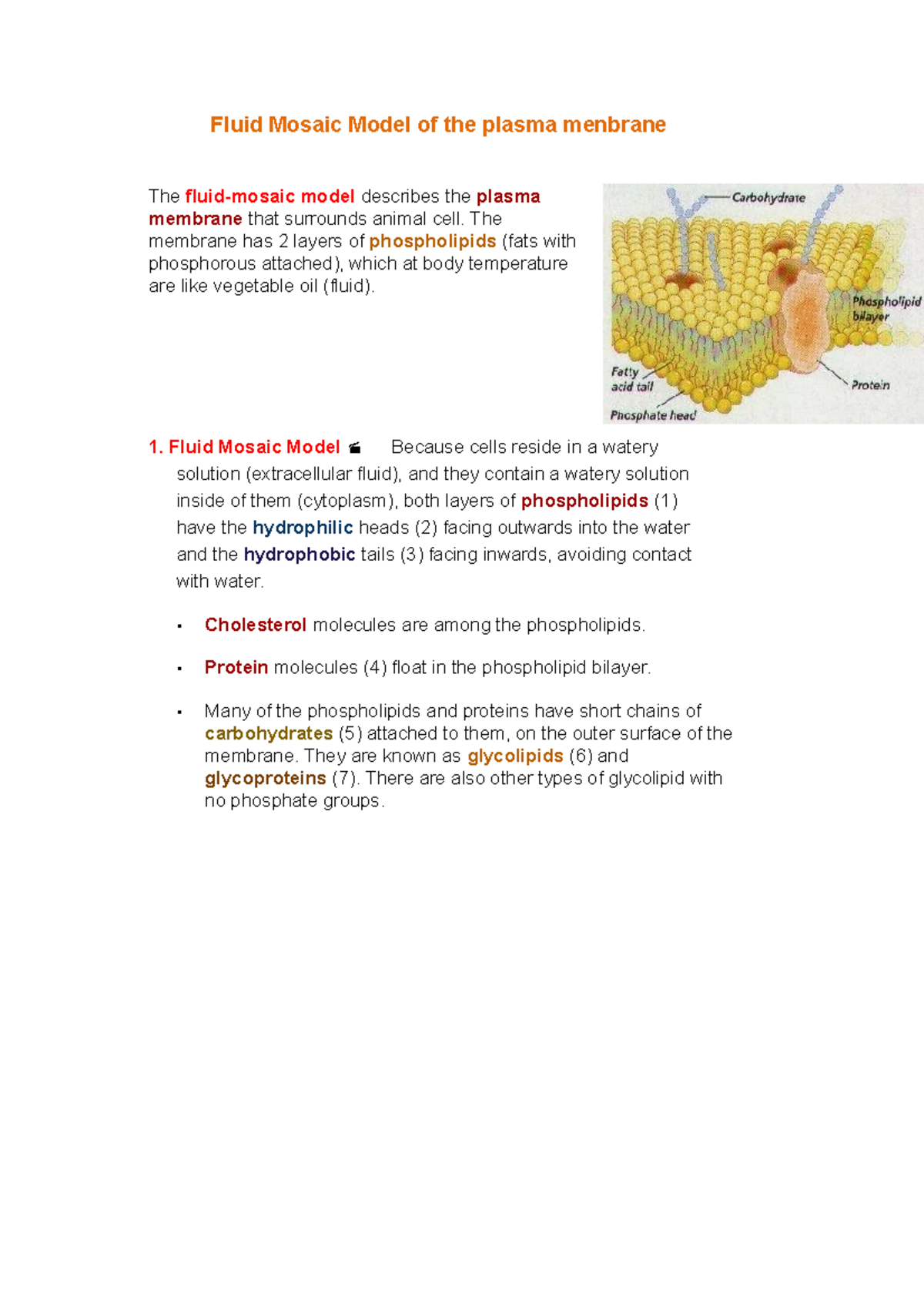 Fluid Mosaic Model of the plasma membrane - The membrane has 2 layers ...