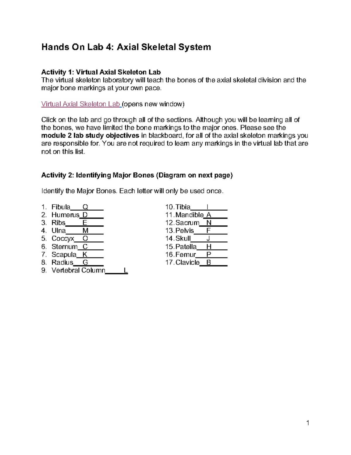 Axial lab - labs - Hands On Lab 4: Axial Skeletal System Activity 1 ...
