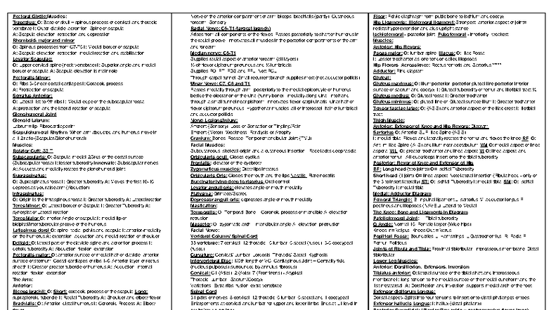 Musculoskeletal Anatomy HUBS1105: Comprehensive Cheat Sheet - Studocu
