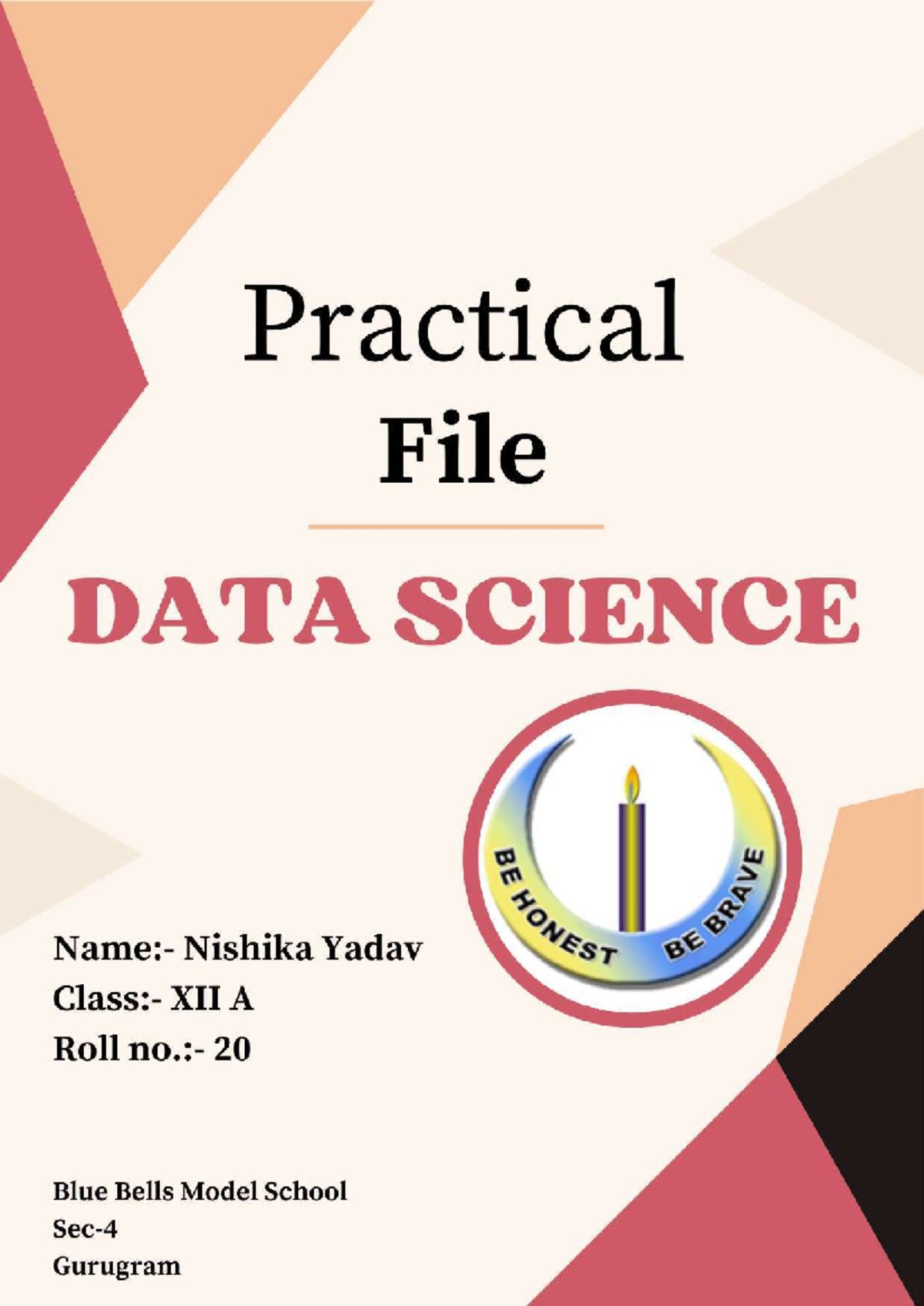 Practical file - project file data science - Practical File DATA ...