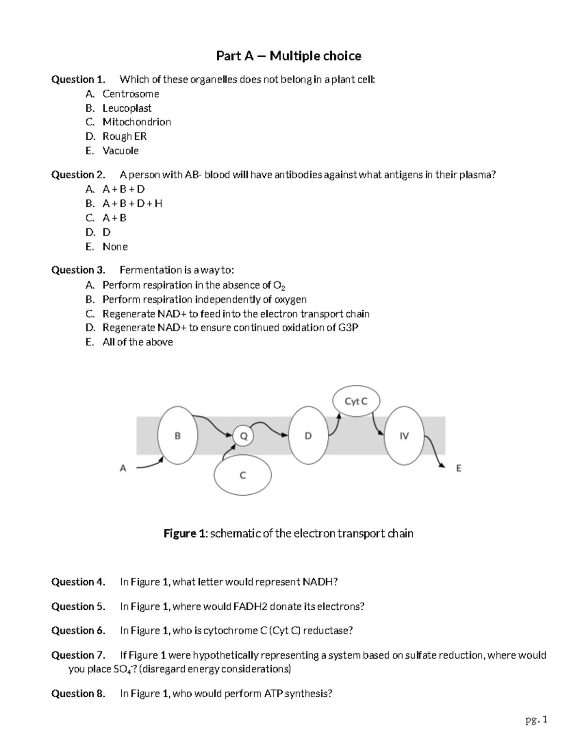 BIO101 Final Exam Practice Questions and Answers - Studocu