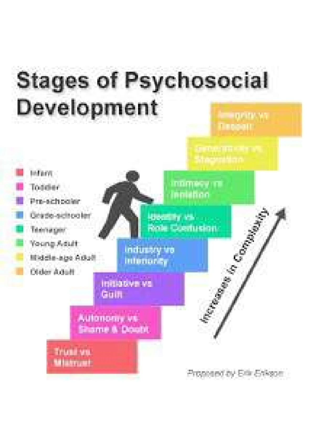 Brain lobes: How they function and their roles in behavior and memory ...