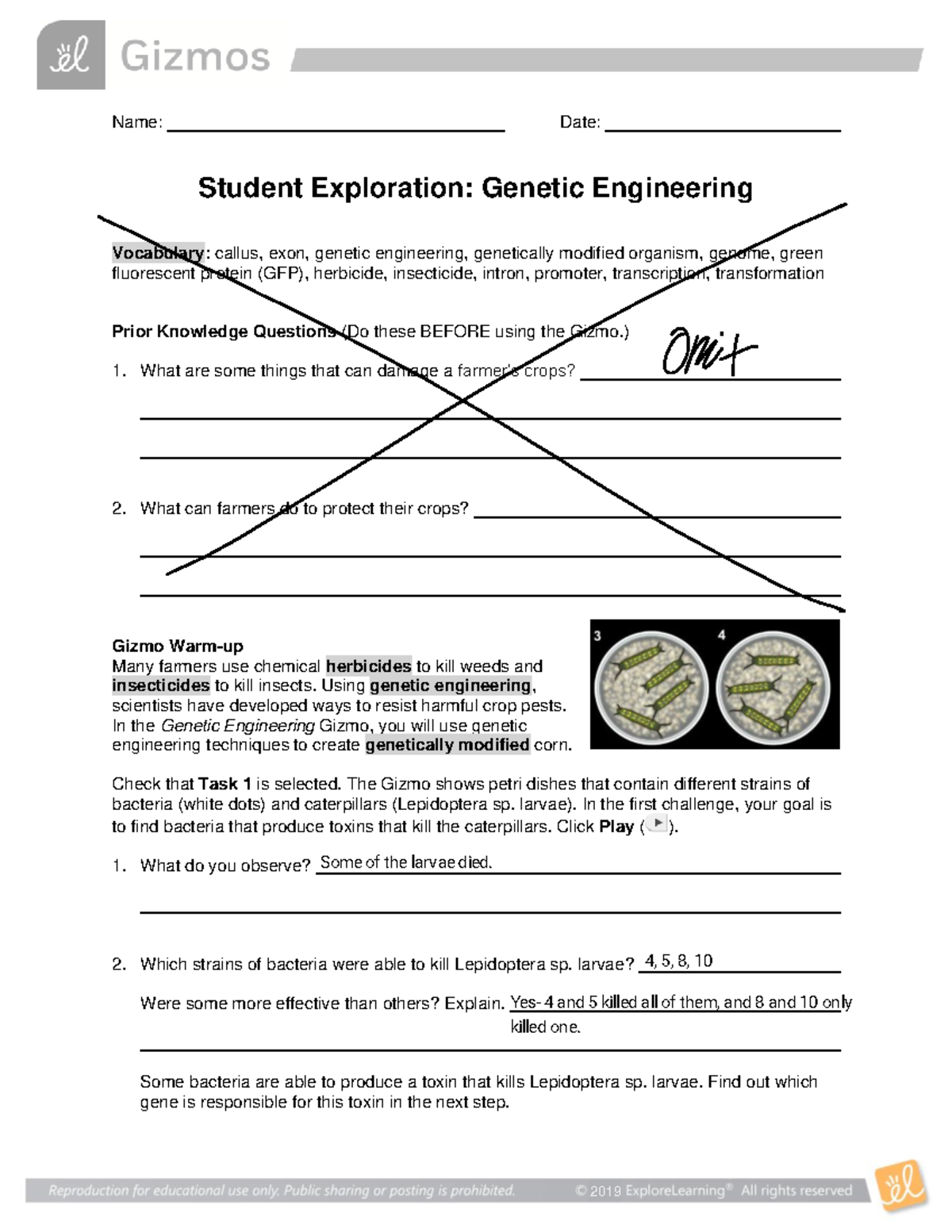 Genetic Engineering SE - Student Exploration Lab Guide and Activities ...