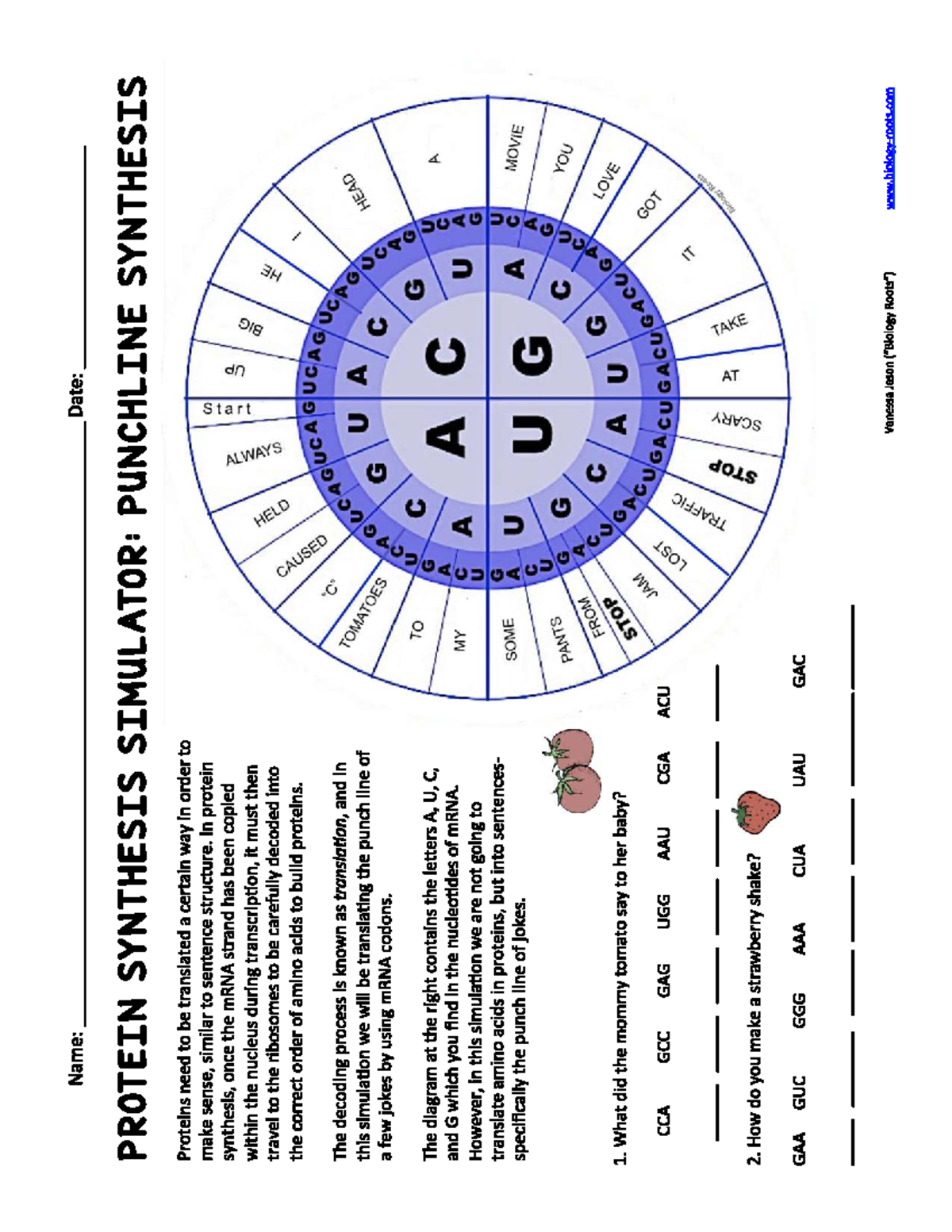 Protein Synthesis Simulator: Codon Wheel Practice for Jokes - Studocu