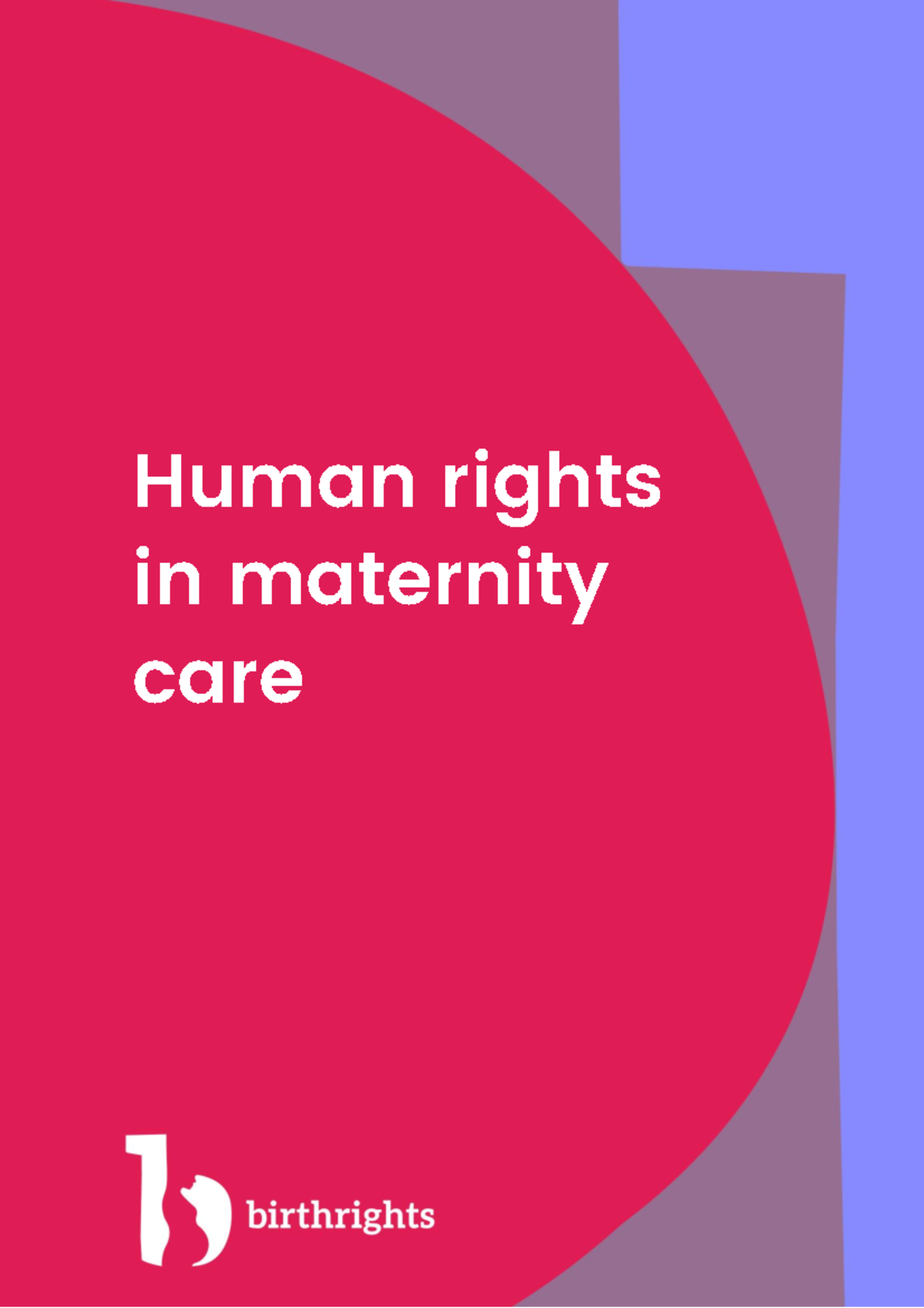 Human Rights in Maternity Care: Key Facts and Legal Protections - Studocu