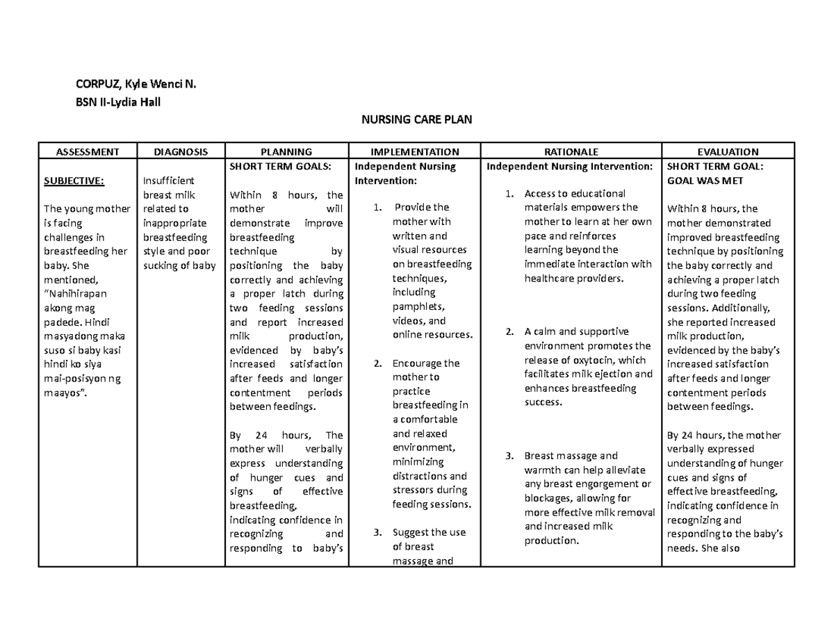 NURSING CARE PLAN: Breastfeeding Support for New Mothers (NURSING 101 ...