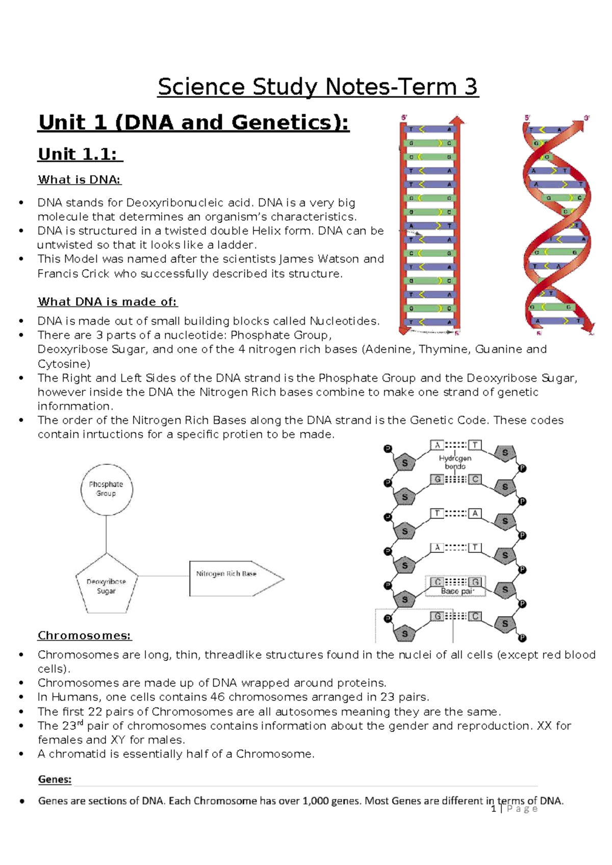 Science Notes 2023: DNA, Genetics, and Evolution Insights - Studocu