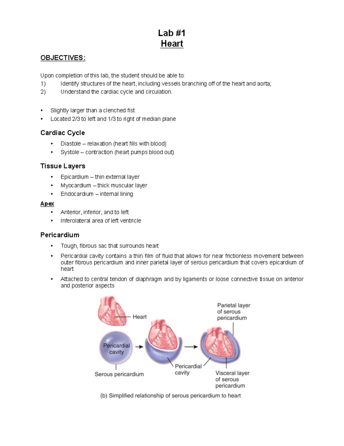 4. Lab 1 Heart - lab manual - Lab Heart OBJECTIVES: Upon completion of ...