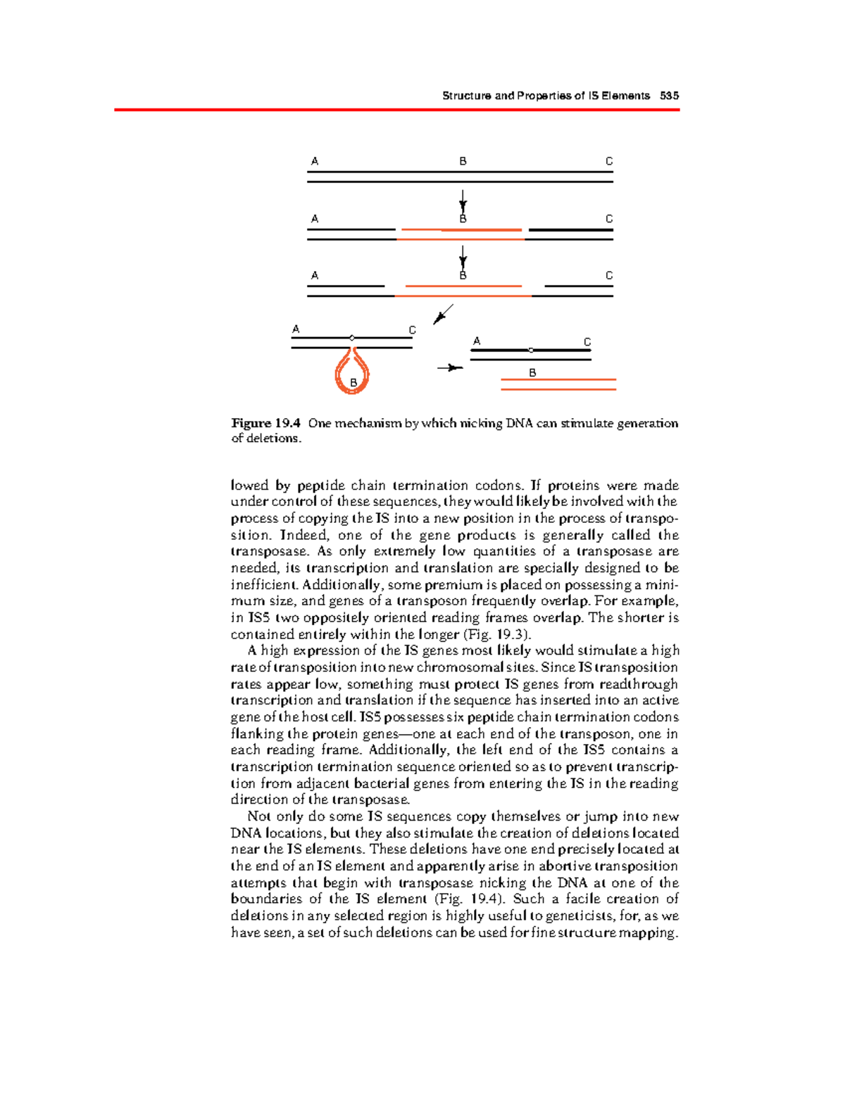 Genetics and Molecular Biology – Part 276: IS Elements Structure ...