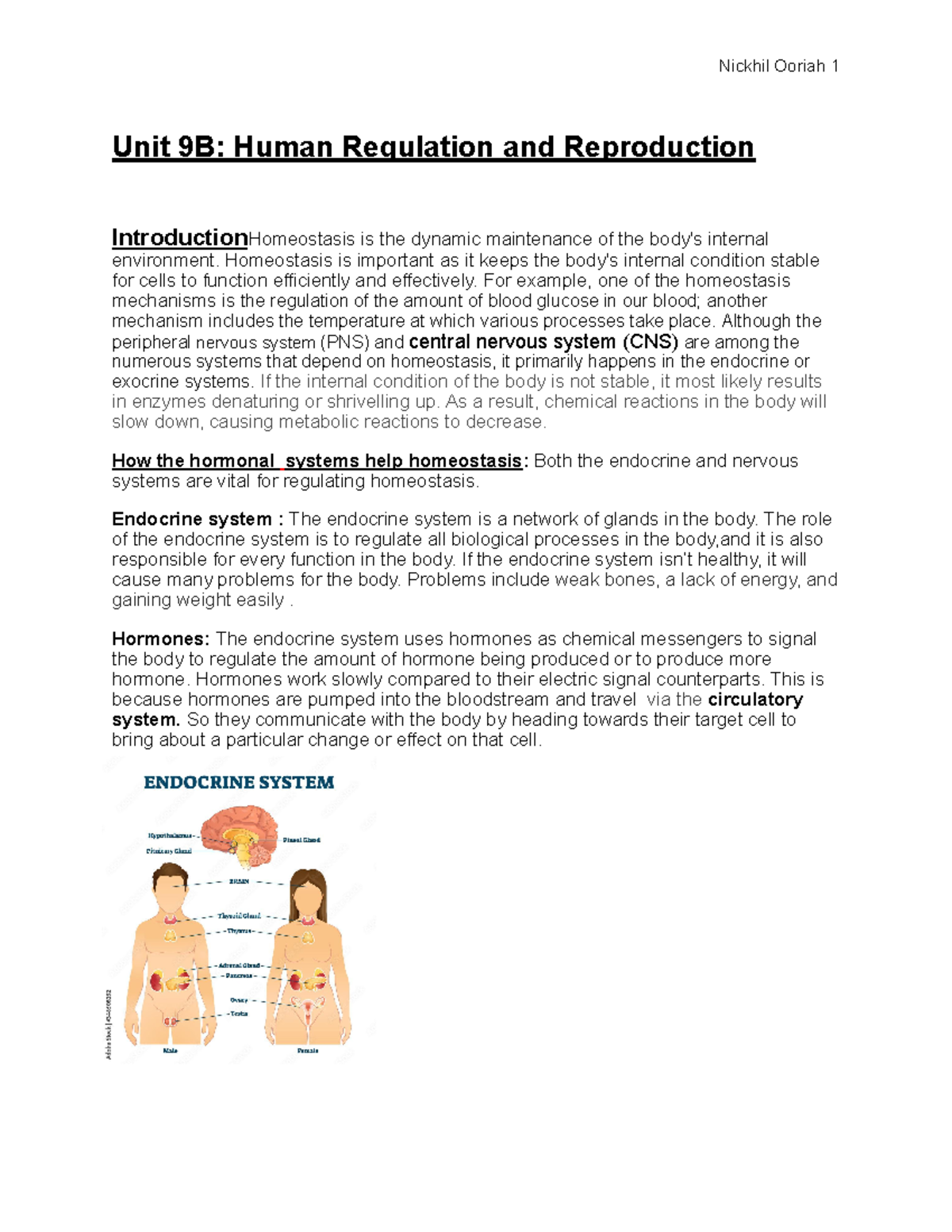 Human Regulation And Reproduction