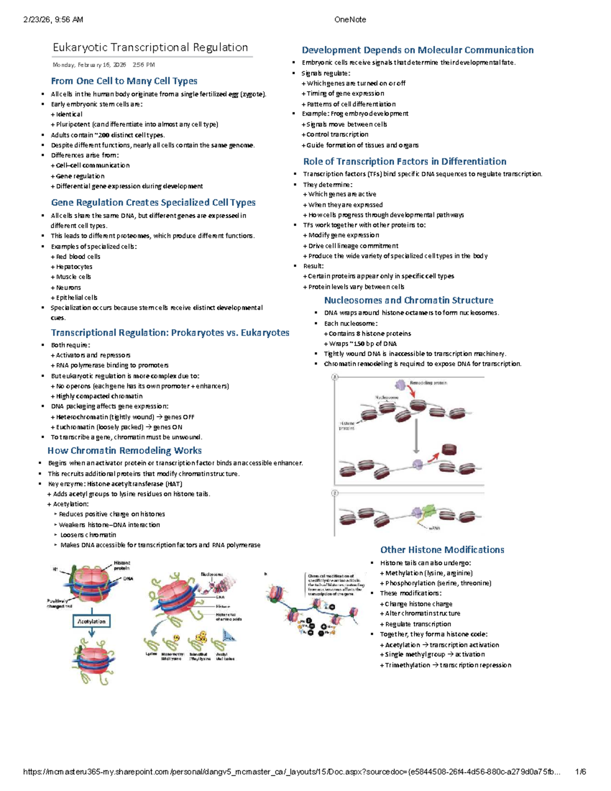 Bio 3: Module 3 & 4: Eukaryotic Transcriptional Regulation Insights ...