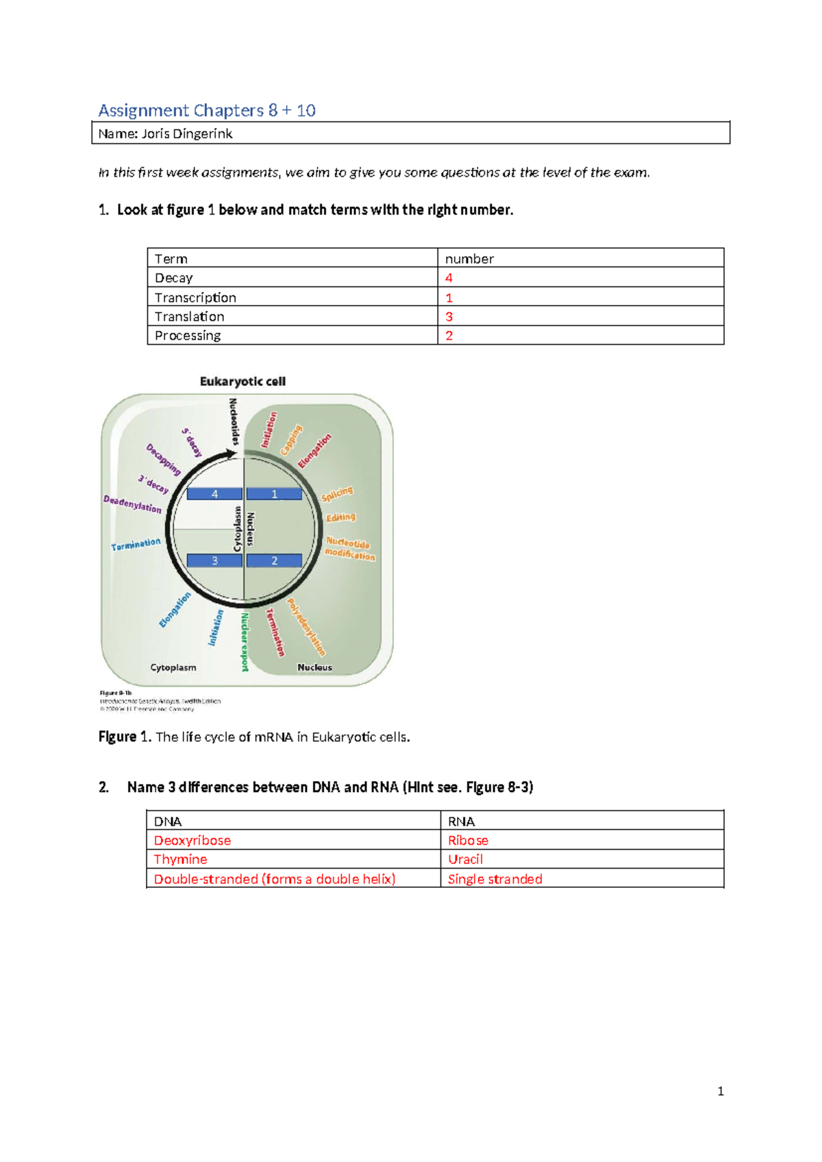 Assignment on Chapters 8 & 10: Key Concepts & Mechanisms - Studeersnel