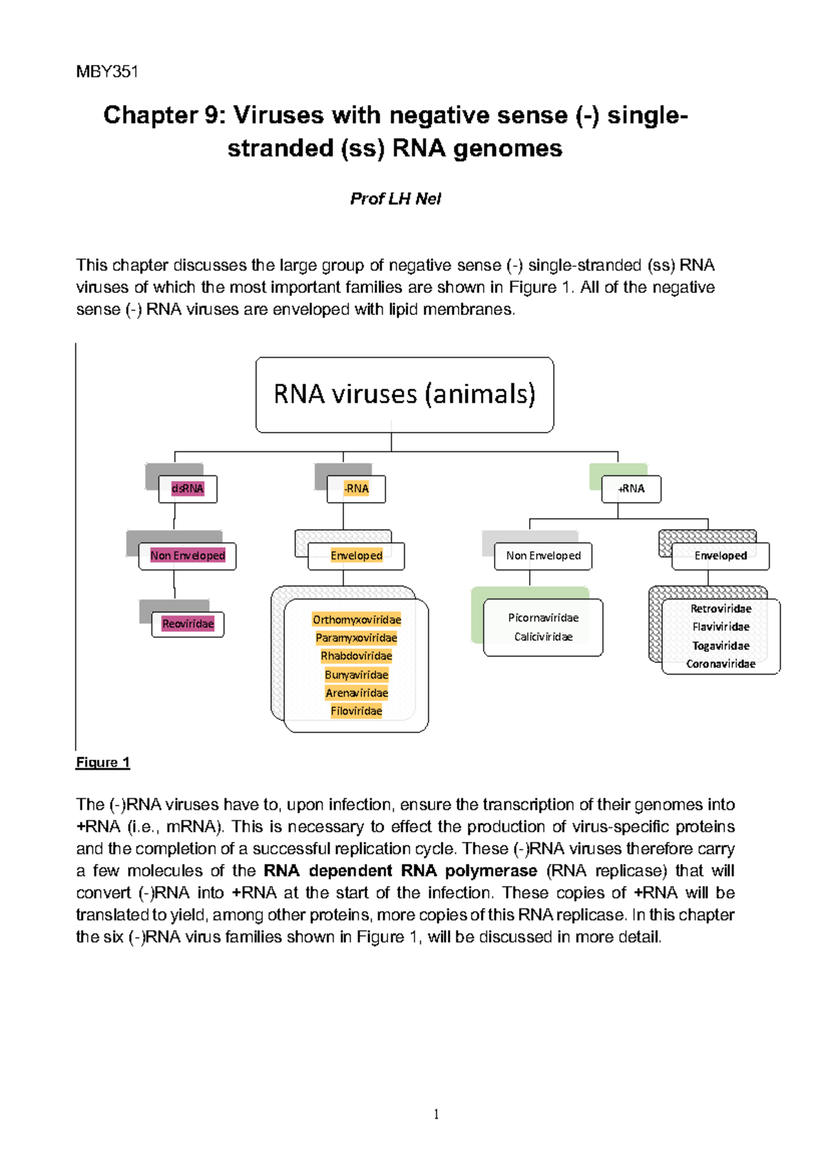 M351 Chapter 9: Negative Sense ssRNA Viruses Overview - Studocu