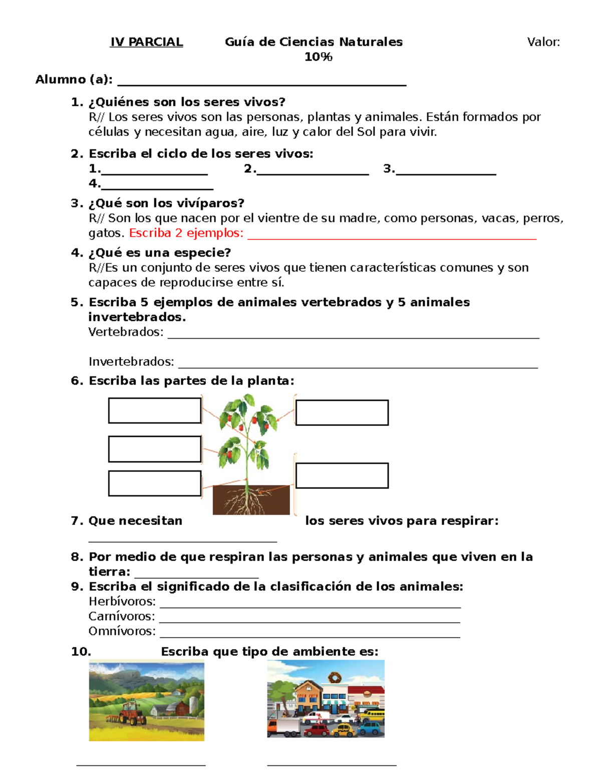 GUÍA DE ESTUDIO 4TO GRADO Ciencias Naturales 2024: Plantas y Animales -  Studocu, image size:1200x1553