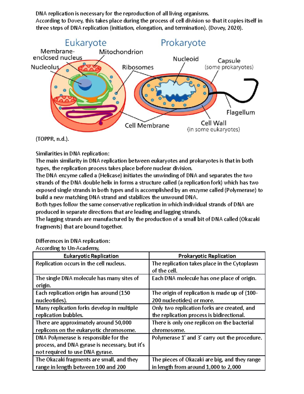 BIOL 1301 Discussion: DNA Replication in Prokaryotes vs Eukaryotes ...