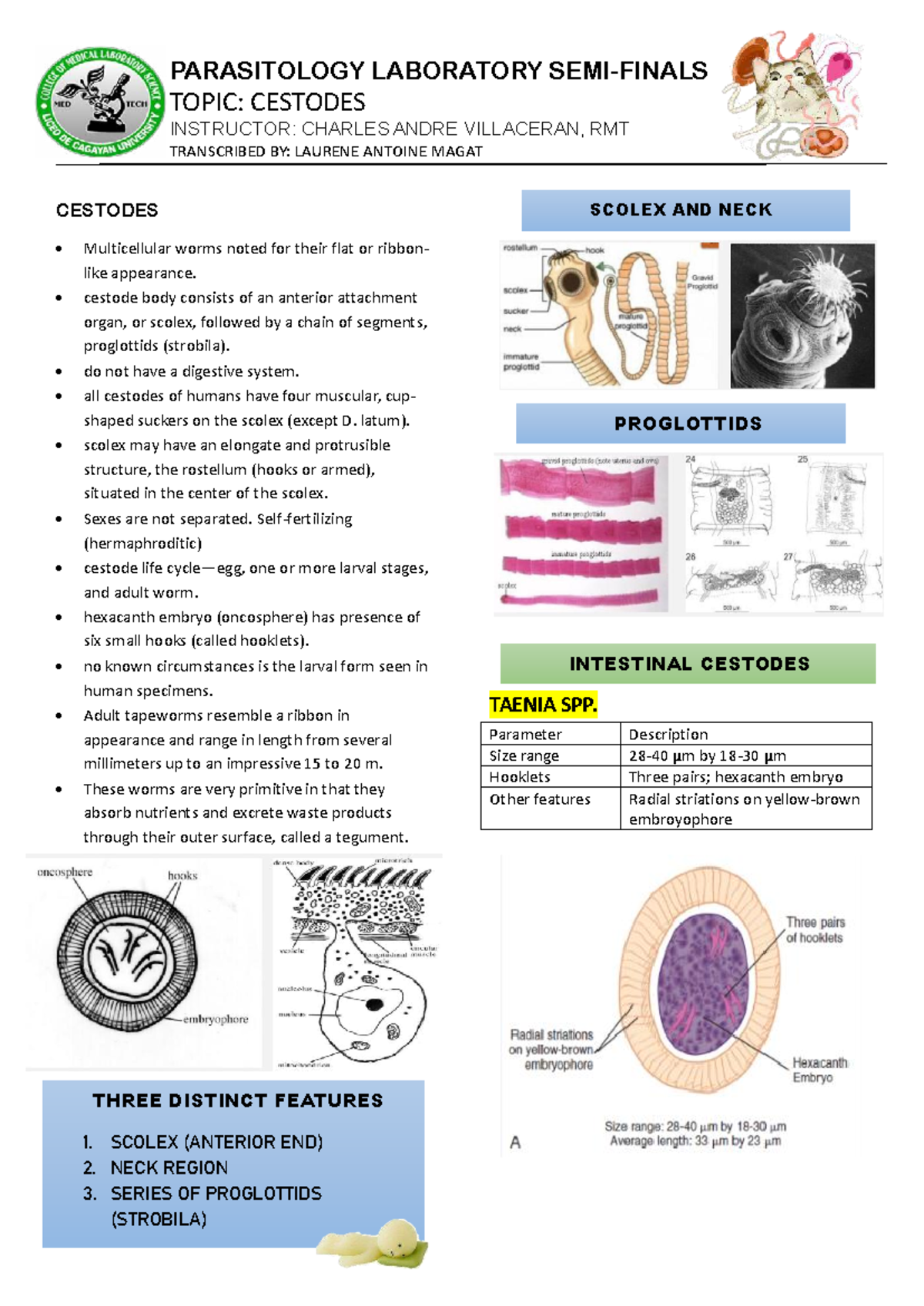 Paralab Cestodes: Comprehensive Study Notes for Parasitology Lab - Studocu