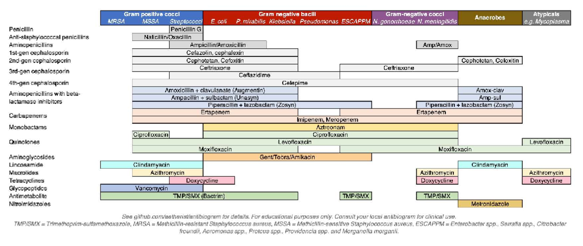 Antibiotics Coverage Diagram: Gram Positive & Negative Bacteria - Studocu