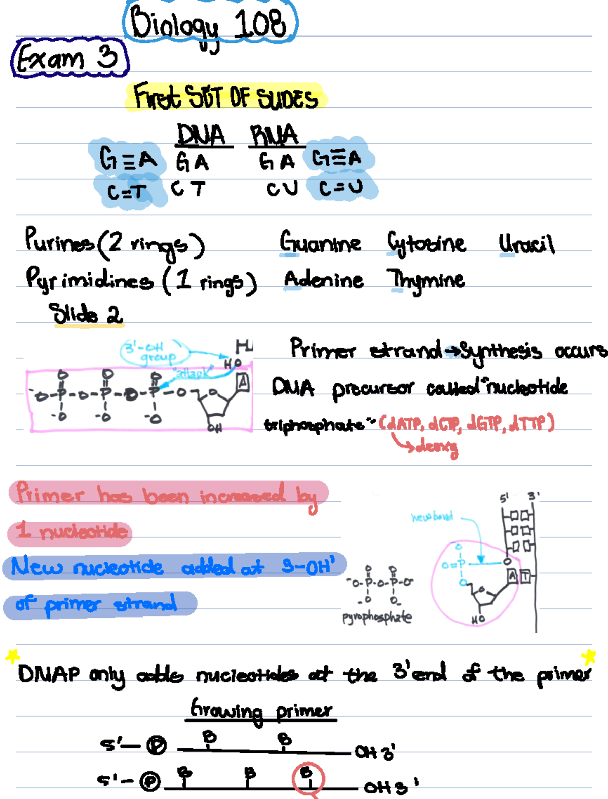 BIO 101 - Exam Review: Comprehensive Lecture Notes on Transcription ...