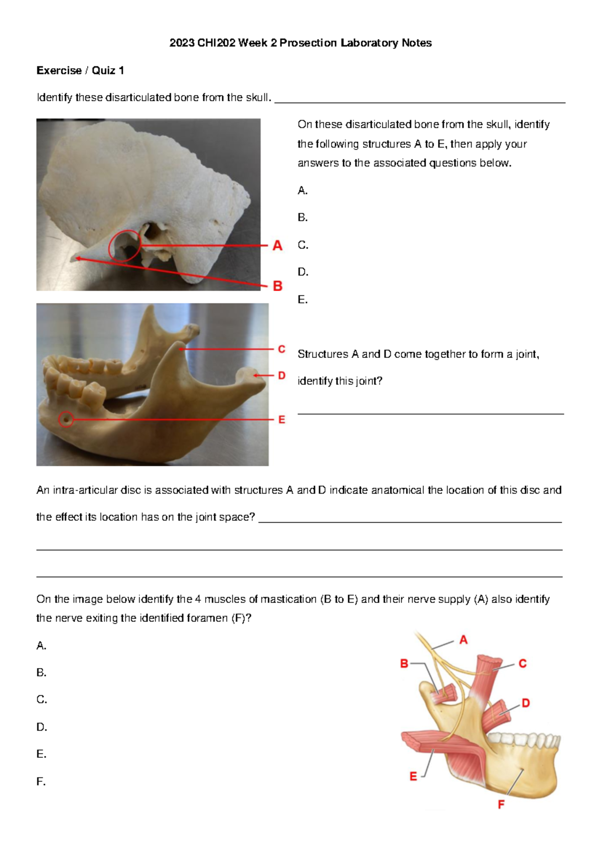 2023 CHI202 Week 2 Prosection Lab Notes and Quiz Details - Studocu