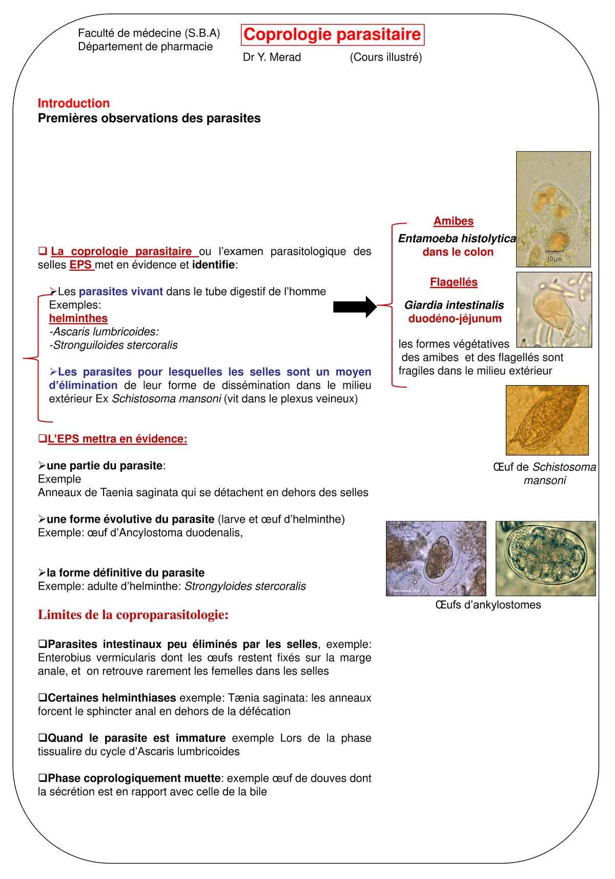 Copro parasitologie résumé - Coprologie parasitaire Dr Y. Merad (Cours ...