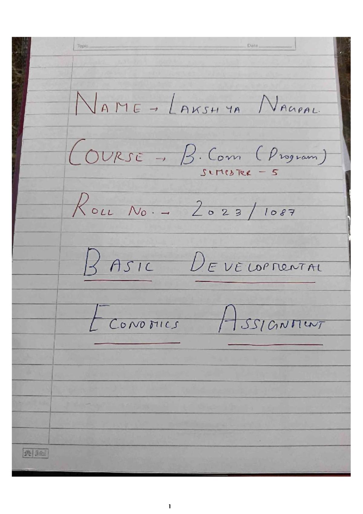 B.Com (Program) Sem 5: Basic Developmental Economics Assignment - Studocu