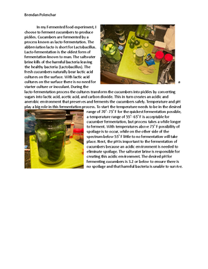 Cellular Respiration: Chemiosmosis, Proton Motive Force, and ETS ...
