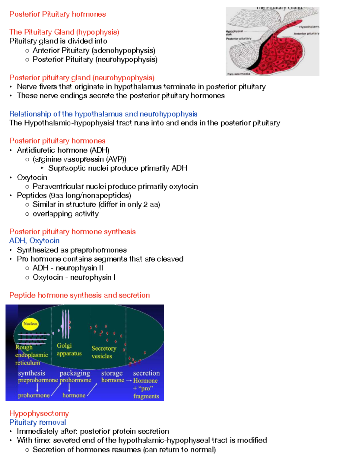 Hormonal Regulation and Pathophysiology of ADH and Oxytocin - Posterior ...