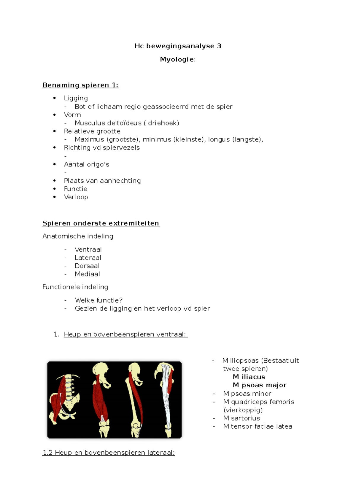 Hc bewegingsanalyse 3 - samenvatting beweging analyse - Hc ...