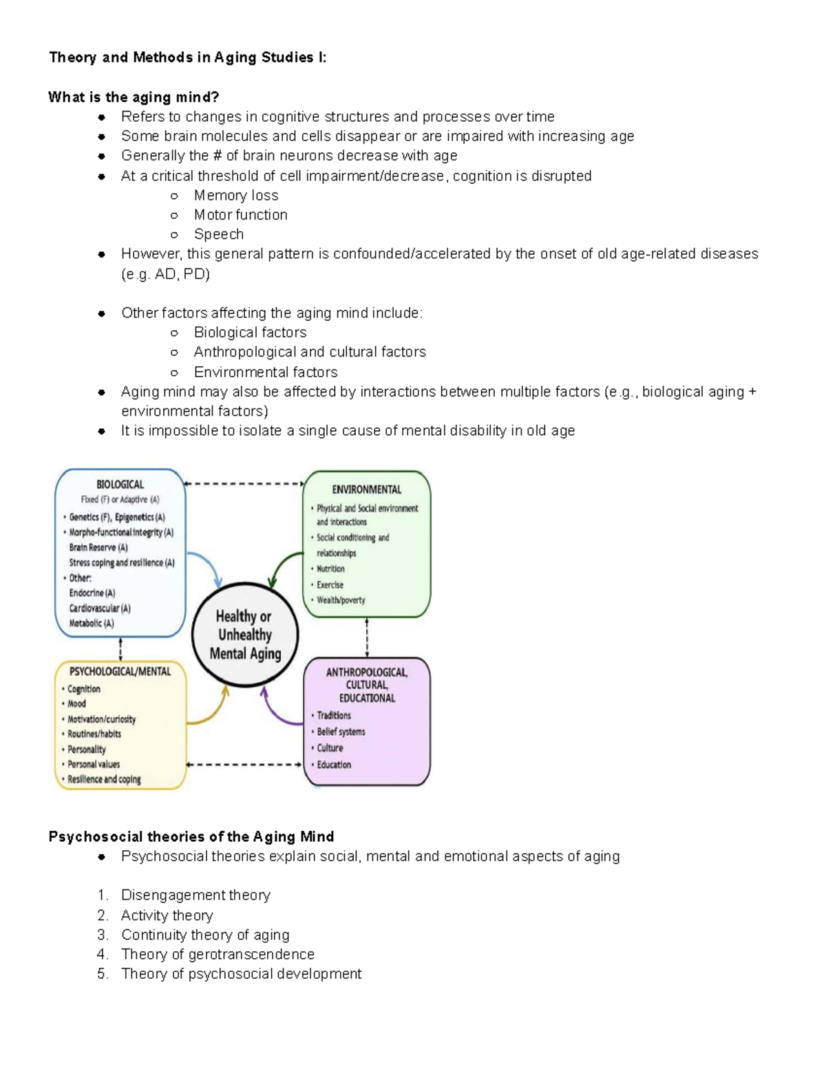 3702 Midterm Notes: The Aging Mind and Cognitive Changes - Studocu
