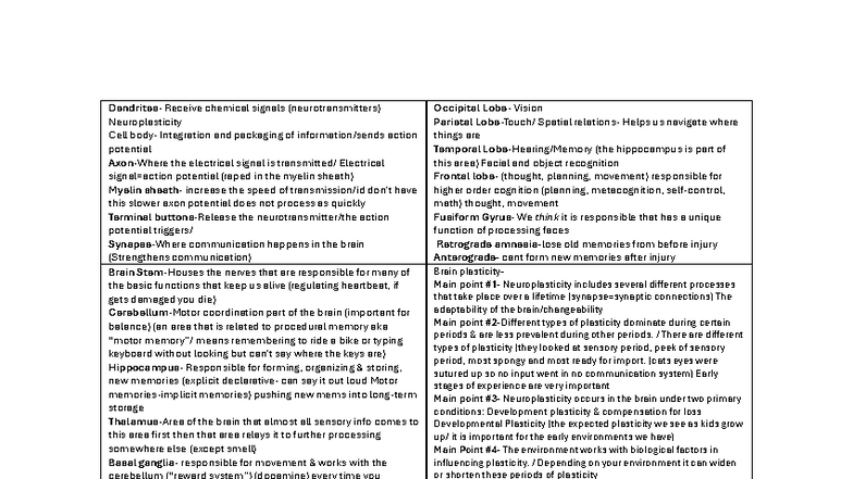 Psych 101 Exam 2 Study Guide: Neuroplasticity & Memory Concepts - Studocu
