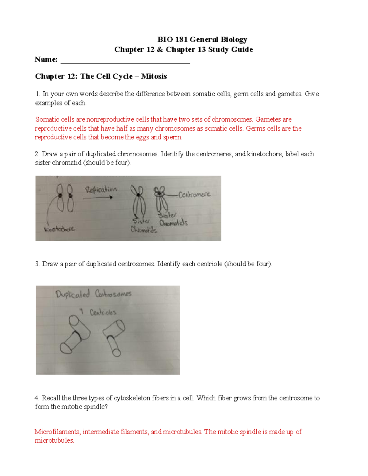 BIO 181 Ch. 12 & 13 Study Guide - Cell Cycle & Meiosis F23 - Studocu