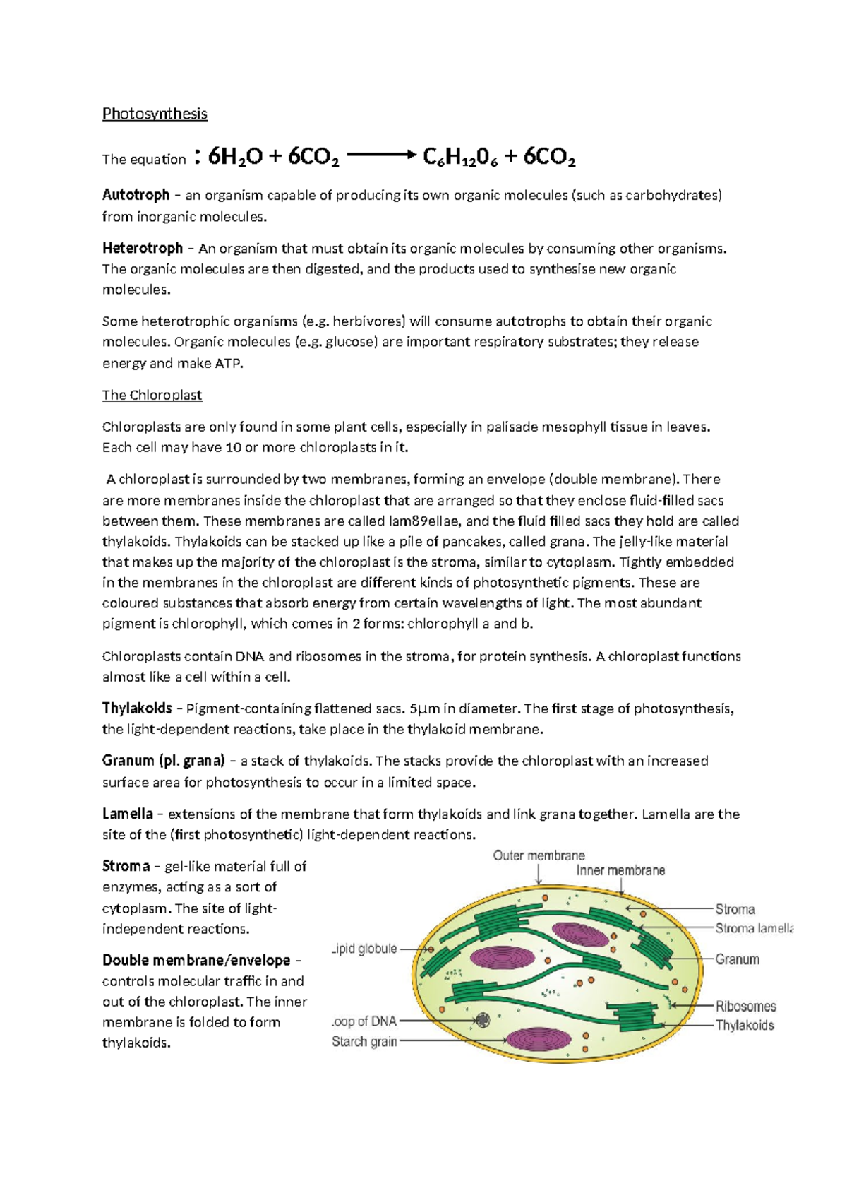 Photosynthesis Guide - Biology A Level - AQA 2017-2019 Study Notes ...