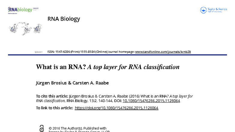 RNA Biology: A Top Layer for RNA Classification (RNA 2016) - Studocu