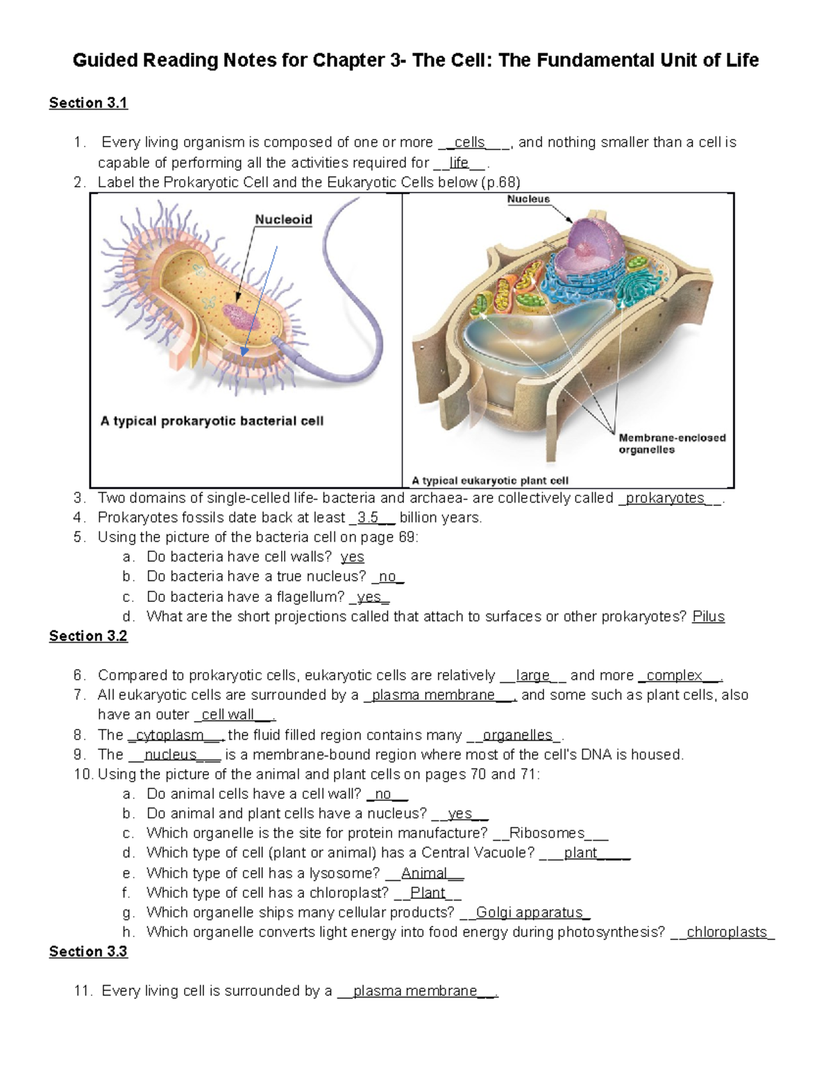 CH 3 Homework Notes - The Cell: Fundamental Unit of Life - Studocu