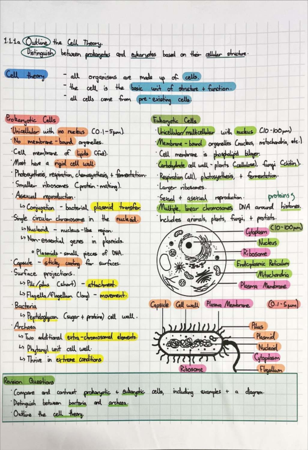 Biology Summary 1: Cell Theory & Prokaryotic vs Eukaryotic Cells - Studocu