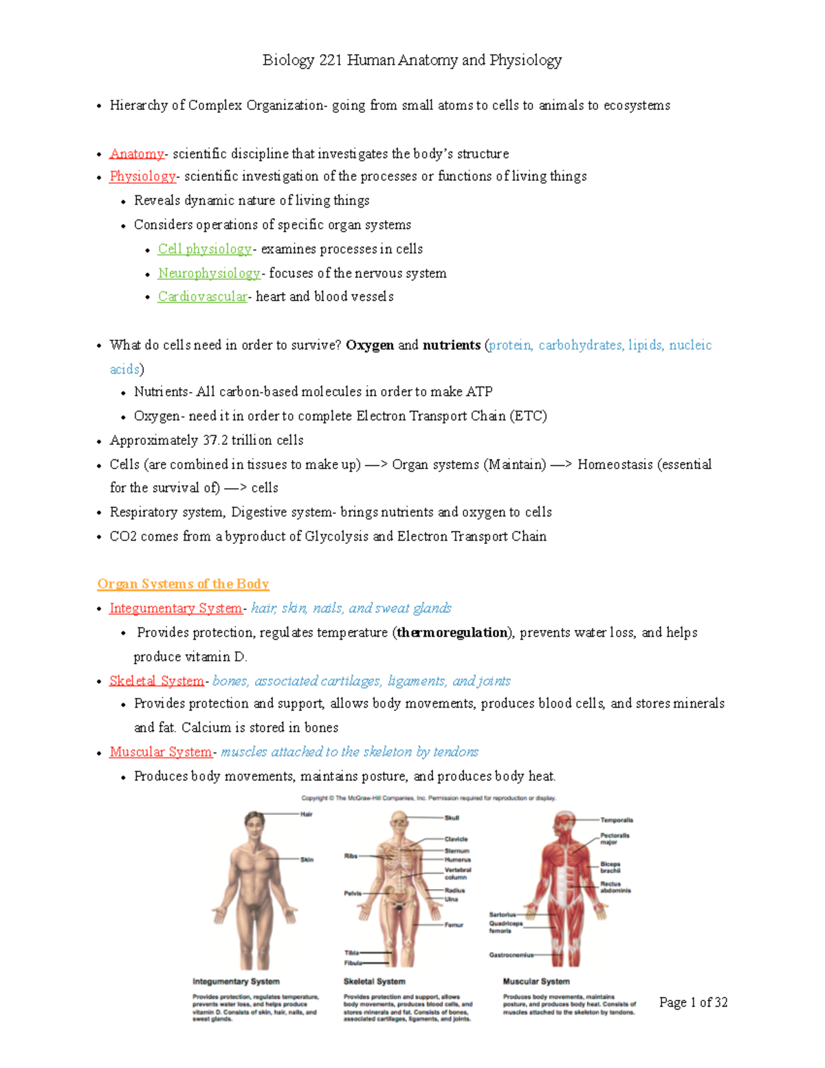 BIOL 221 Lecture Notes: Human Anatomy & Physiology Overview - Studocu