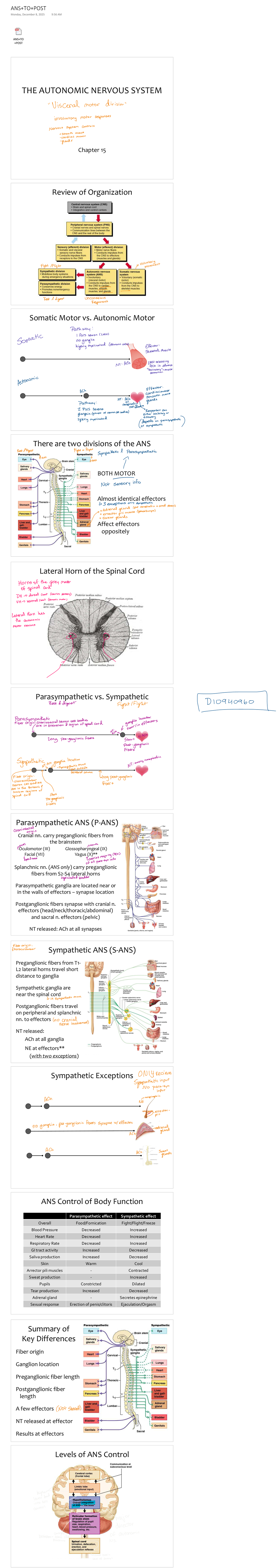 ANS 101: Chapter Review of the Autonomic Nervous System - Studocu