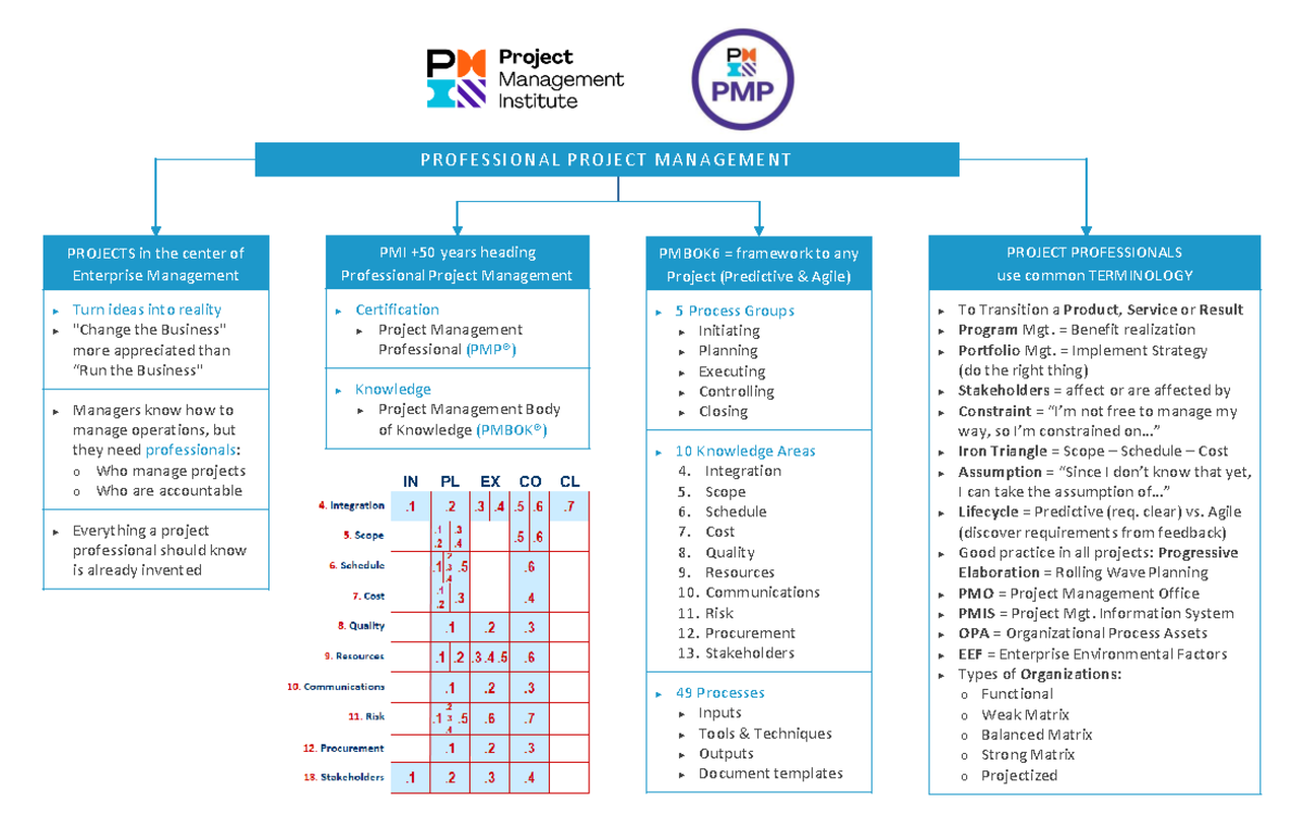PMP Summary - PROFESSIONAL PROJECT MANAGEMENT - P R O F E S S I O N A L ...