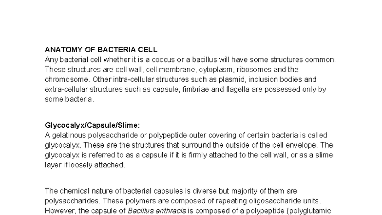 ANATOMY OF BACTERIAL CELL: STRUCTURES AND FUNCTIONS - Studocu